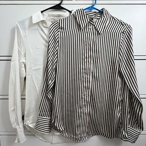 Two Silky Button Downs